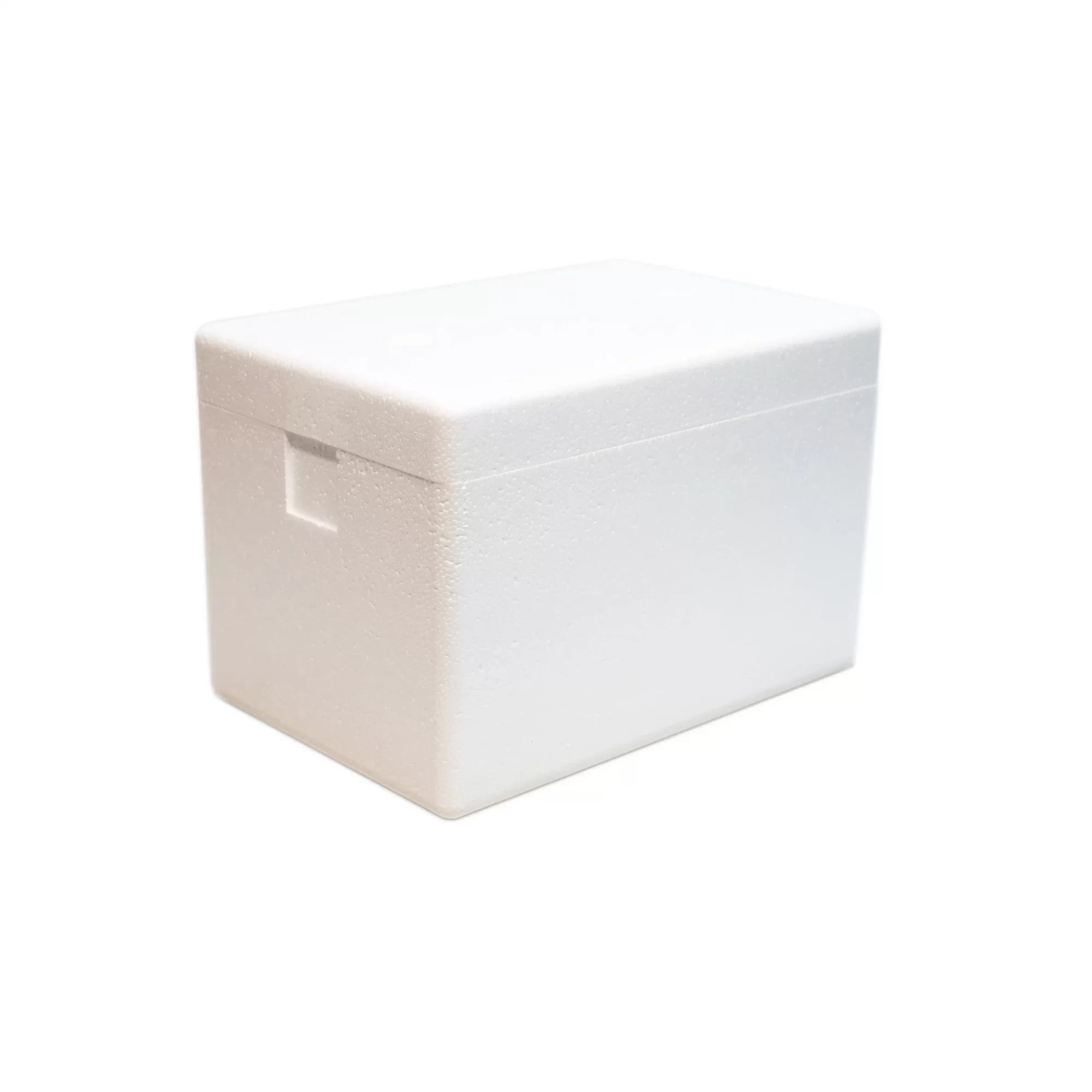 styrofoam_box_in_uganda