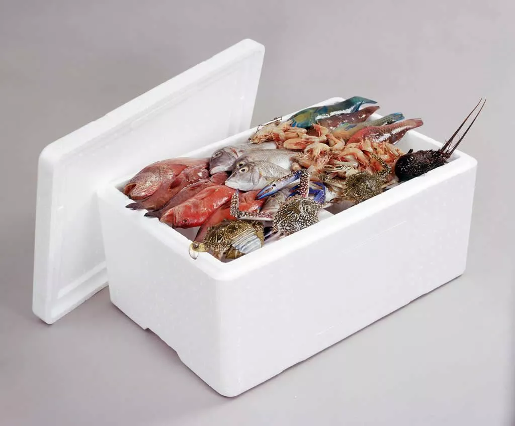 styrofoam_box_in_kenya_with_sea_food